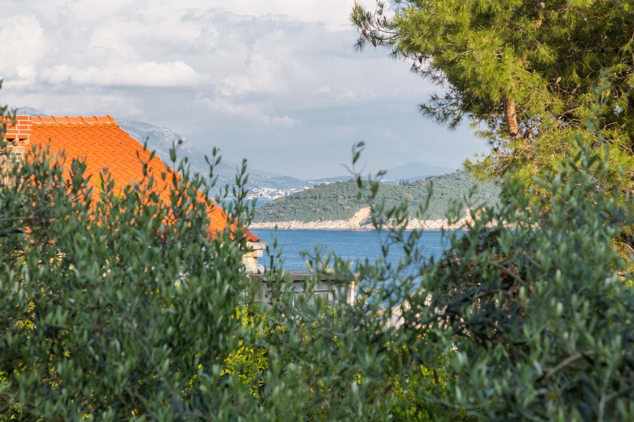 Apartment Franica Dubrovnik Exterior photo